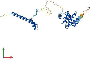 Protein Structure (PS) image for Coiled-Coil Domain Containing 103 (CCDC103) (AA 1-237) protein (His tag) (ABIN7561180)
