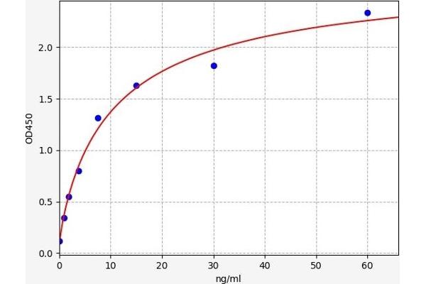 ISR-beta ELISA Kit