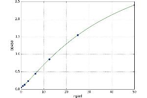 Mitogen-Activated Protein Kinase 1/3 (MAPK1/3) ELISA Kit
