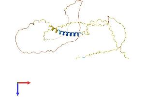 C4orf49 Protein (AA 1-283) (His tag)