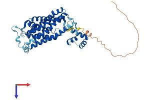 LASS4 Protein (AA 1-394) (His tag)