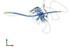 AlphaFold protein structure predicition of Human Recombinant FBXO41 Protein, UniprotID Q8TF61