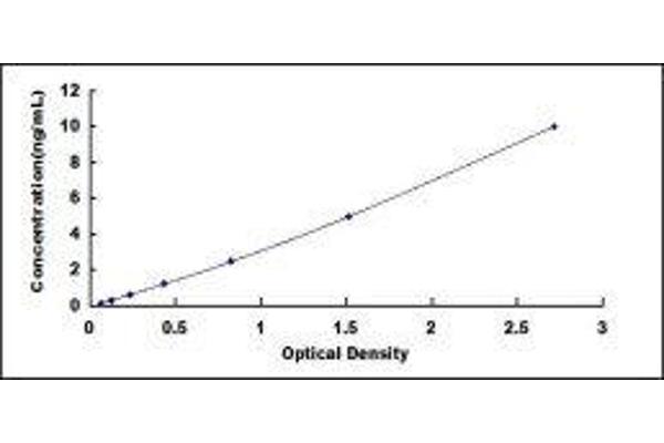 KRT8 ELISA Kit