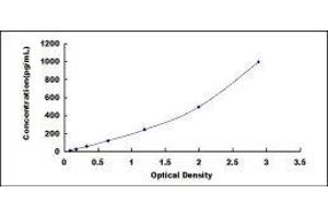 ELISA image for S100 Calcium Binding Protein A8 (S100A8) ELISA Kit (ABIN6574287)