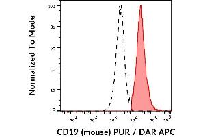 Surface staining of CD19 in murine splenocytes with anti-CD19 (1D3) purified / DAR-APC. (CD19 Antikörper)
