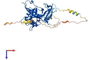 C3orf37 Protein (AA 1-353) (His tag)