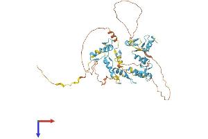 FIZ1 Protein (AA 1-500) (His tag)