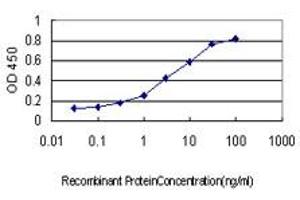 Detection limit for recombinant GST tagged BIK is approximately 0. (BIK Antikörper  (AA 37-136))