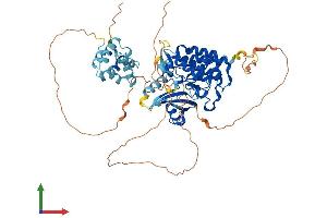 Protein Structure (PS) image for Interleukin-1 Receptor-Associated Kinase 3 (IRAK3) (AA 1-609) protein (His tag) (ABIN7559567)
