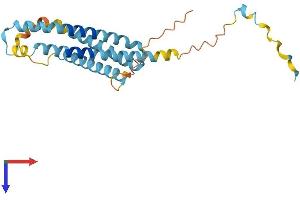 LAPTM4A Protein (AA 1-233) (His tag)