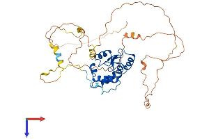 ARFGAP1 Protein (AA 1-406) (His tag)