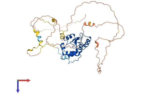 ARFGAP1 Protein (AA 1-406) (His tag)