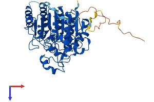 HDAC3 Protein (AA 1-428) (His tag)