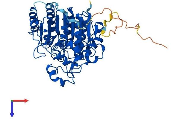 HDAC3 Protein (AA 1-428) (His tag)