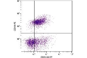 BALB/c mouse splenocytes were stained with Rat Anti-Mouse CD54-BIOT. (ICAM1 Antikörper  (Biotin))