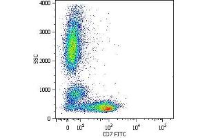 Surface staining of human peripheral blood cells with anti-human CD7 (MEM-186) FITC. (CD7 Antikörper  (APC))