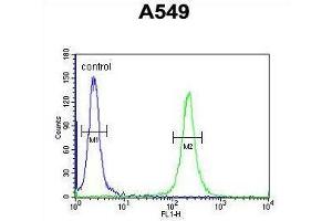 TM168 Antibody (C-term) flow cytometric analysis of A549 cells (right histogram) compared to a negative control cell (left histogram). (TMEM168 Antikörper  (C-Term))