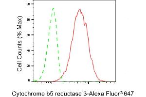 Flow cytometric analysis of Cytochrome b5 reductase 3 expression in H9c2 cells using Cytochrome b5 reductase 3 antibody (ABIN7798244), 1:2,000). (Rekombinanter CYB5R3 Antikörper)