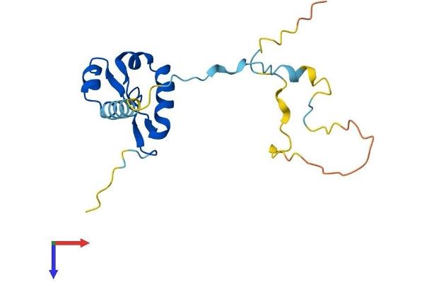 GTSF1 Protein (AA 1-167) (His tag)