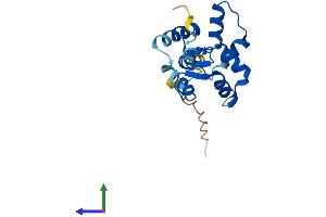 Protein Structure (PS) image for Myosin, Light Chain 12A, Regulatory, Non-Sarcomeric (MYL12A) (AA 1-171) protein (His tag) (ABIN7549440)