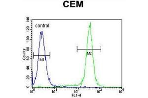 CCDC122 Antibody (C-term) flow cytometric analysis of CEM cells (right histogram) compared to a negative control cell (left histogram). (CCDC122 Antikörper  (C-Term))