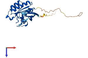 Rab5c Protein (AA 1-216) (His tag)