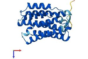 KDELR3 Protein (AA 1-214) (His tag)