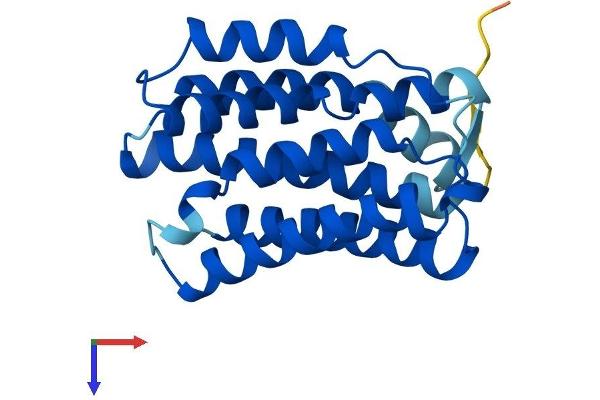 KDELR3 Protein (AA 1-214) (His tag)