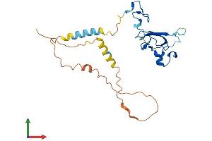 Protein Structure (PS) image for Zinc Finger, CCHC Domain Containing 24 (ZCCHC24) (AA 1-241) protein (His tag) (ABIN7545383)