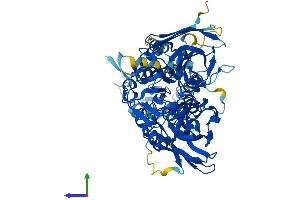 Protein Structure (PS) image for Protein Arginine Methyltransferase 7 (PRMT7) (AA 1-692) protein (His tag) (ABIN7564854)