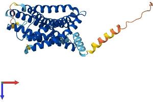 FFAR2 Protein (AA 1-330) (His tag)