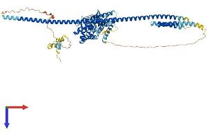 GLE1 Protein (AA 1-699) (His tag)