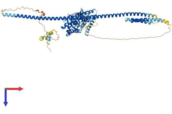 GLE1 Protein (AA 1-699) (His tag)