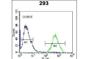 RCE1 Antibody (N-term W57) (ABIN389050 and ABIN2839259) flow cytometric analysis of 293 cells (right histogram) compared to a negative control cell (left histogram).