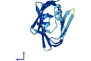 Protein Structure (PS) image for Fatty Acid Binding Protein 9, Testis (FABP9) (AA 1-132) protein (His tag) (ABIN7562195)