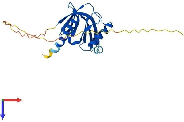 ITGB1BP1 Protein (AA 1-200) (His tag)