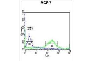 ETS2 Antibody (Center) (ABIN653803 and ABIN2843080) flow cytometric analysis of MCF-7 cells (right histogram) compared to a negative control cell (left histogram). (ETS2 Antikörper  (AA 146-173))