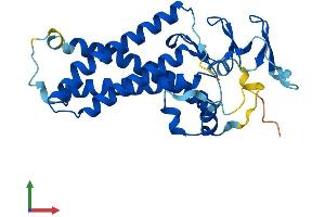 AlphaFold protein structure predicition of Human Recombinant ZDHHC21 Protein, UniprotID Q8IVQ6