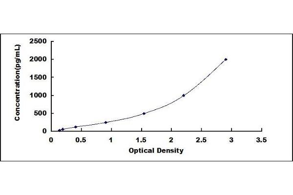 EPO ELISA Kit