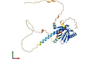 Protein Structure (PS) image for Low Density Lipoprotein Receptor Adaptor Protein 1 (LDLRAP1) (AA 1-308) protein (His tag) (ABIN7559098)