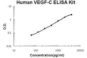 Human VEGF-C Accusignal ELISA Kit Human VEGF-C AccuSignal ELISA Kit standard curve. (VEGFC ELISA Kit)