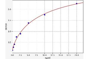 ELISA image for Cross-Linked C-Telopeptides of Type I Collagen (CTX-I) ELISA Kit (ABIN6966139)