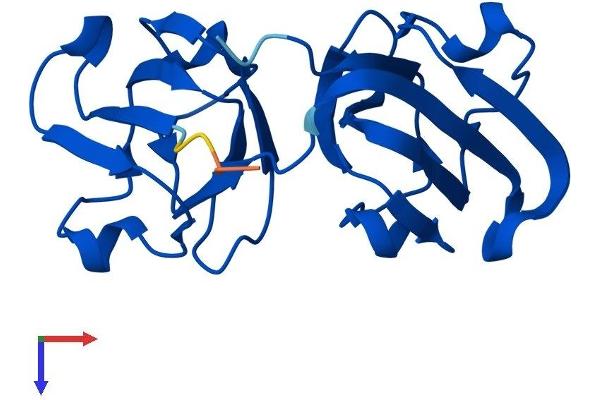 CRYGN Protein (AA 1-183) (His tag)