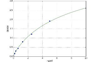 Sulfiredoxin 1 (SRX1) ELISA Kit