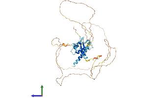 Protein Structure (PS) image for Integrator Complex Subunit 12 (INTS12) (AA 1-462) protein (His tag) (ABIN7548564)