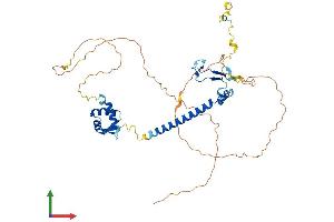 Protein Structure (PS) image for E2F Transcription Factor 2 (E2F2) (AA 1-437) protein (His tag) (ABIN7547184)