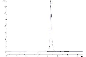 Size-exclusion chromatography-High Pressure Liquid Chromatography (SEC-HPLC) image for beta-2-Microglobulin (B2M) (AA 21-119) protein (Fc Tag) (ABIN7273889)