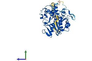 AlphaFold protein structure predicition of Human Recombinant A4GALT Protein, UniprotID Q9NPC4 (A4GALT Protein (AA 1-353) (His tag))
