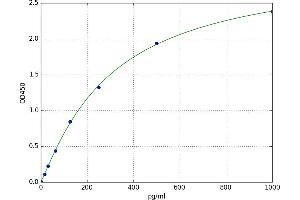 Calcitonin-Related Polypeptide beta (CALCB) ELISA Kit