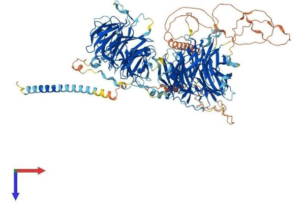 STXBP5 Protein (AA 1-1151) (His tag)